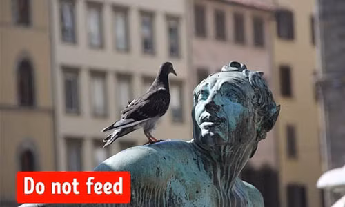 Những luật lệ khác thường trên thế giới