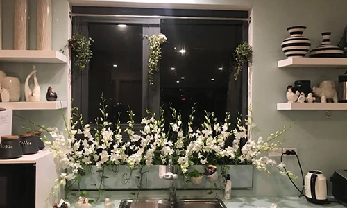 Mẹ đảm khoe "vườn hoa" độc đáo trên cửa sổ bếp gây bão