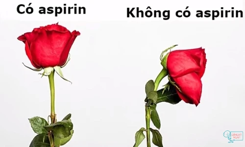 Video: 10 mẹo vặt từ thời ông bà “chất nhất quả đất“