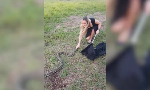 Video: Nữ du khách quyến rũ tay không bắt rắn "khủng"