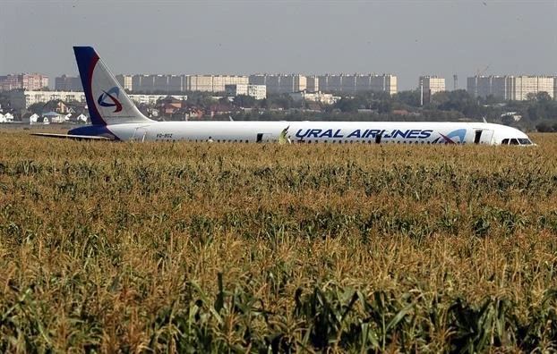 Video: Máy bay Nga chở 233 người hạ cánh bằng bụng xuống đồng