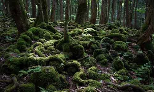 Rùng rợn 14 điểm du lịch khiến du khách lạnh sống lưng