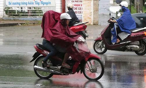 Cơn mưa quý như vàng đổ xuống Nghệ An