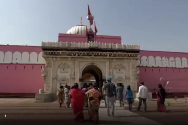 Video: Dân địa phương uống sữa chung với 25.000 con chuột