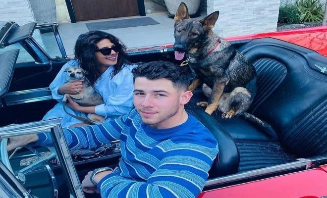 Hoa hậu Priyanka Chopra cho thú cưng dùng túi LV