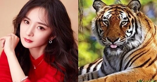 4 con giáp hỷ tín tới nhà, tiền bạc chật két trong 150 ngày tới