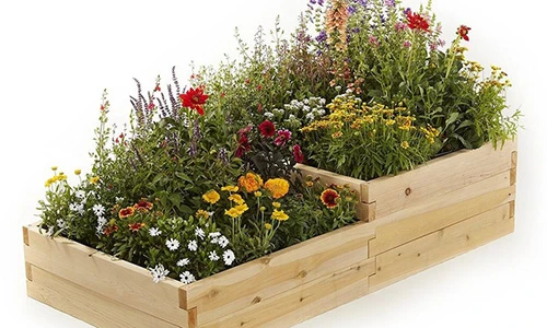 Ngàn cách trồng cây vào giá vừa nghệ thuật vừa tiện lợi cho nhà nhỏ