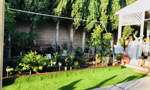 Không gian nhà vườn giản dị của ca sĩ Hương Lan ở Mỹ