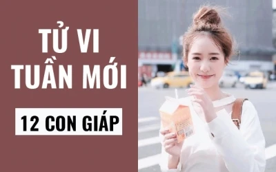 Video: Tử vi tuần mới từ 3/2 đến 9/2 năm 2020 của 12 con giáp