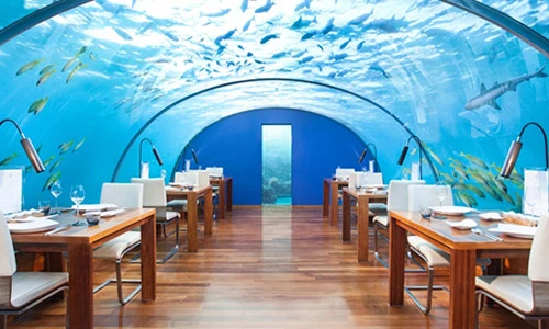 Cận cảnh nhà hàng kỳ lạ và nguy hiểm nhất thế giới