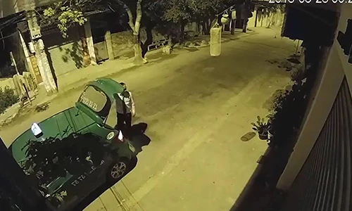 Video: Bắt quả tang tài xế taxi trộm 4 chậu cảnh trong đêm