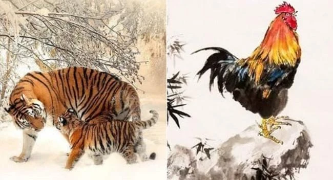 3 con giáp lên như diều gặp gió, Thần Tài ban của cải trong năm 2022