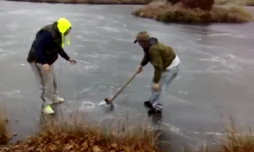 Việt Nam mà có băng chắc thanh niên còn nghịch hơn thế này