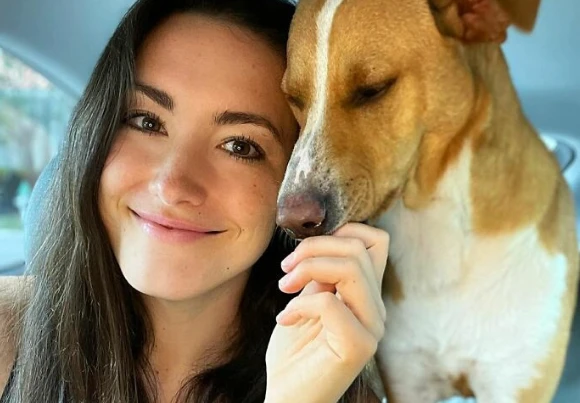 Đi theo nữ du khách, chú chó vô chủ được nhận nuôi