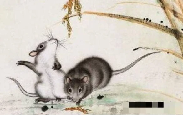 Tuần mới (15/11 - 21/11): 3 con giáp may mắn ngập tràn, một bước lên tiên