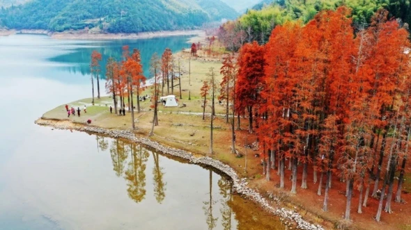 Những rừng gỗ đỏ ban mai rực rỡ ở Trung Quốc