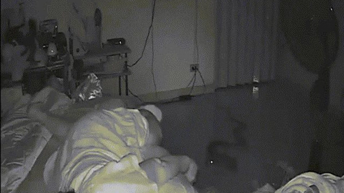 Video: Kinh hoàng trăn nửa đêm lừ lừ chui vào phòng ngủ tấn công cụ bà