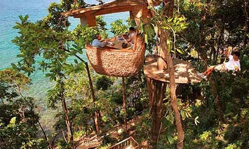 Chiêm ngưỡng nhà hàng trên cây độc đáo như ở xứ sở thần tiên