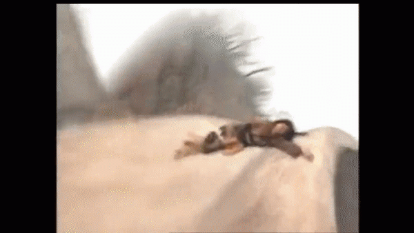 Canh nhay vuc trong phim Trung Quoc da lua khan gia the nay-Hinh-4