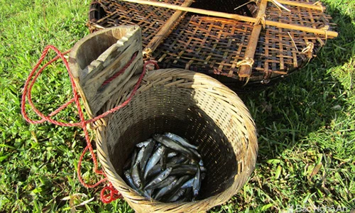 Chiêu độc săn cá suối của trẻ em vùng cao Nghệ An