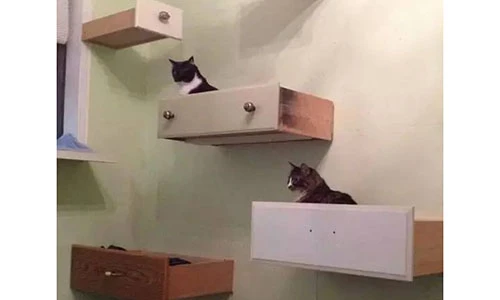 Decor nhà xinh đẹp vạn người mê bằng những ngăn kéo cũ rích