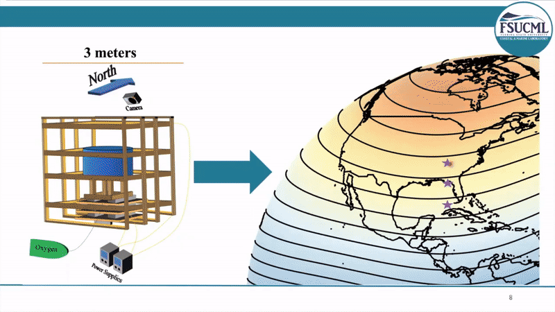 Bien rong the co bao gio ca map bi lac duong hay khong?-Hinh-5