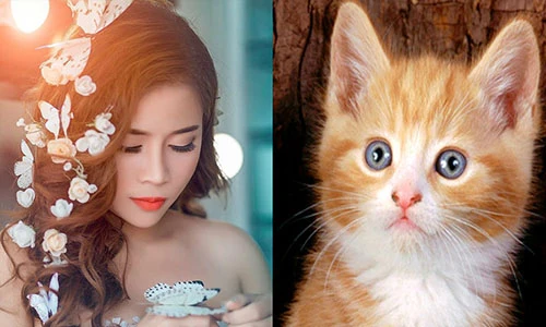 Trước rằm tháng Chạp, 4 con giáp phú quý khó ai sánh bằng