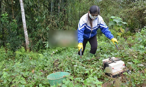 Video: Đi xem kích giun từ A - Z, "nghề mới" kiếm bộn tiền