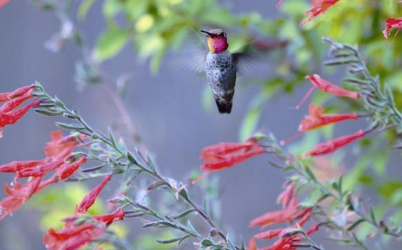 3 con giáp tài lộc rủng rỉnh, tình duyên đỏ thắm trong tháng 9/2021