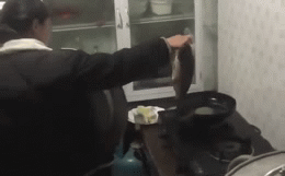 Trổ tài rán cá trong ngà ra mắt mẹ chồng, cô gái suýt làm cháy cả bếp Tro tai ran ca trong nga ra mat me chong, co gai suyt lam chay ca bep