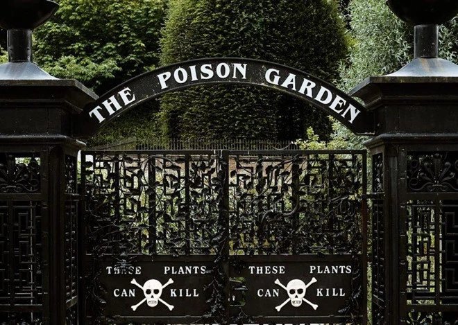 Video: Khu vườn trồng độc dược chết người, du khách sơ sẩy có thể mất mạng