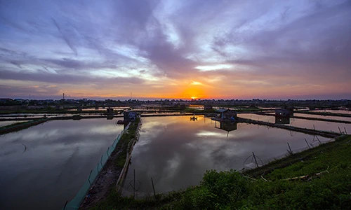 Về Đồng Châu xem cào ngao, ngắm hoàng hôn bên bờ biển hoang sơ