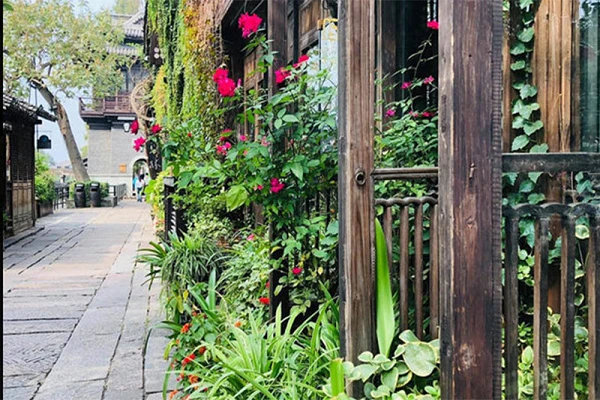 Sai lầm tai hại khi nấu cơm âm thầm bào mòn gan thận