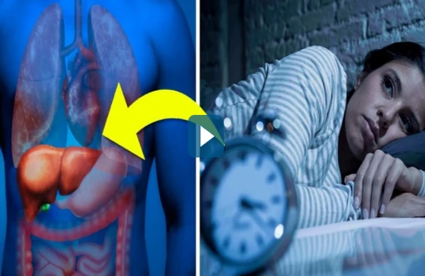 Video : Vì sao bạn hay thức dậy vào nửa đêm và khó ngủ trở lại?