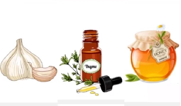 Video: 3 loại 'kháng sinh' hiệu quả trong tự nhiên