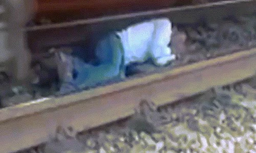 Video: Run rẩy xem người đàn ông nằm dưới gầm tàu hỏa để tránh bị đâm