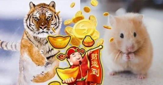 Thiên Tài đợi cửa, 4 con giáp trúng số độc đắc 2 tháng cuối năm 2021