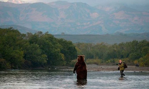 Cuộc đời cũng lắm cảnh... "éo le"!