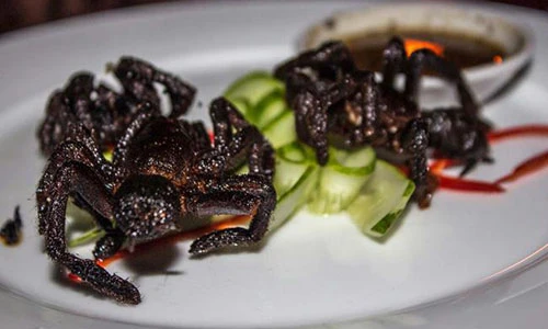 Giật mình với 10 đặc sản kinh dị nhất Đông Nam Á