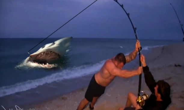 Video: Hai người đàn ông đối đầu với một con cá mập, bên nào sẽ thắng?