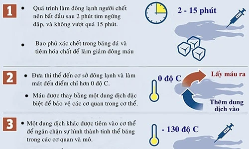 Các bước làm đông lạnh người chết chờ hồi sinh