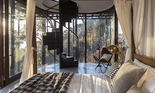 Ngôi nhà gỗ trên cây độc đáo