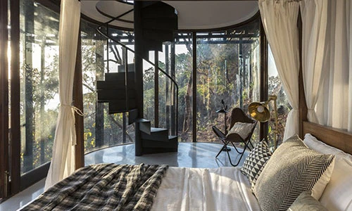 Ngôi nhà gỗ trên cây độc đáo