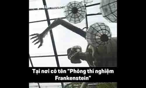 Video: Quán bar kinh dị phong cách xác sống có một không hai