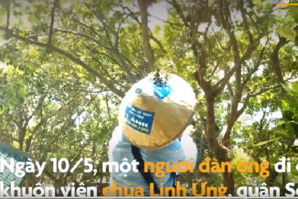 Video: Bức xúc cảnh người đàn ông bắn khỉ ở chùa Linh Ứng