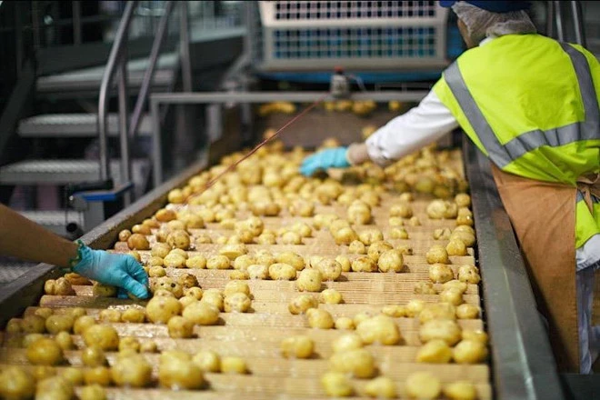Video: Quy trình sản xuất snack khoai tây trong nhà máy lớn nhất thế giới