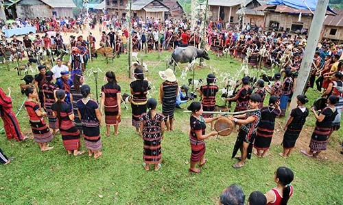 Người Pa Cô đâm trâu trong lễ hội 10 năm mới có một lần