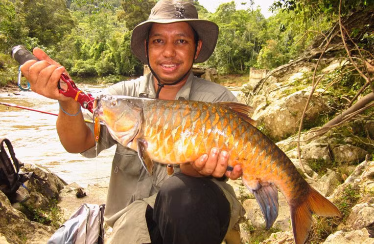 Cá đặc sản được mệnh danh “vong bất liễu ngư” có giá quý như vàng