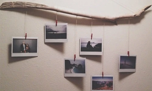 Trang trí nhà độc lạ với chi phí 0 đồng từ... cành cây khô