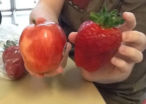 20 thứ làm ai cũng há hốc mồm về kích cỡ